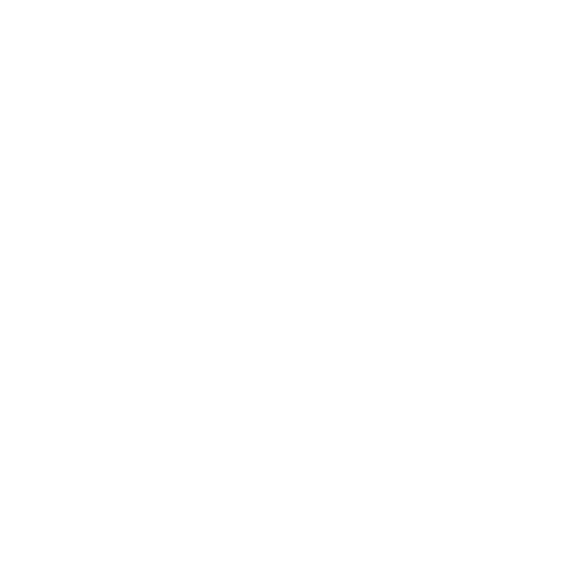 Architect