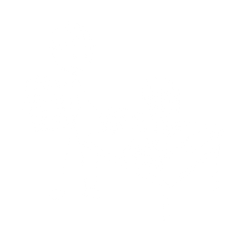 Quantity Surveyor