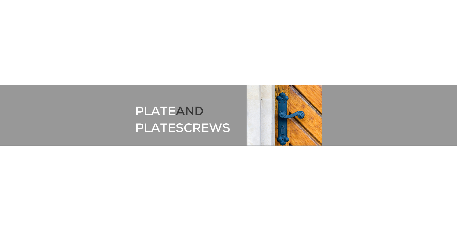 PLATE AND PLATE SCREWS
