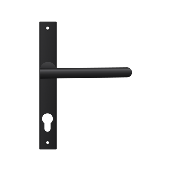 Lever Handle on Narrow Plate, Stainless Steel or Matt Black - DPS (Cisa) FS106