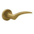 CISA FS116 Lever Handles on Round Rose, Satin Brass - detail view