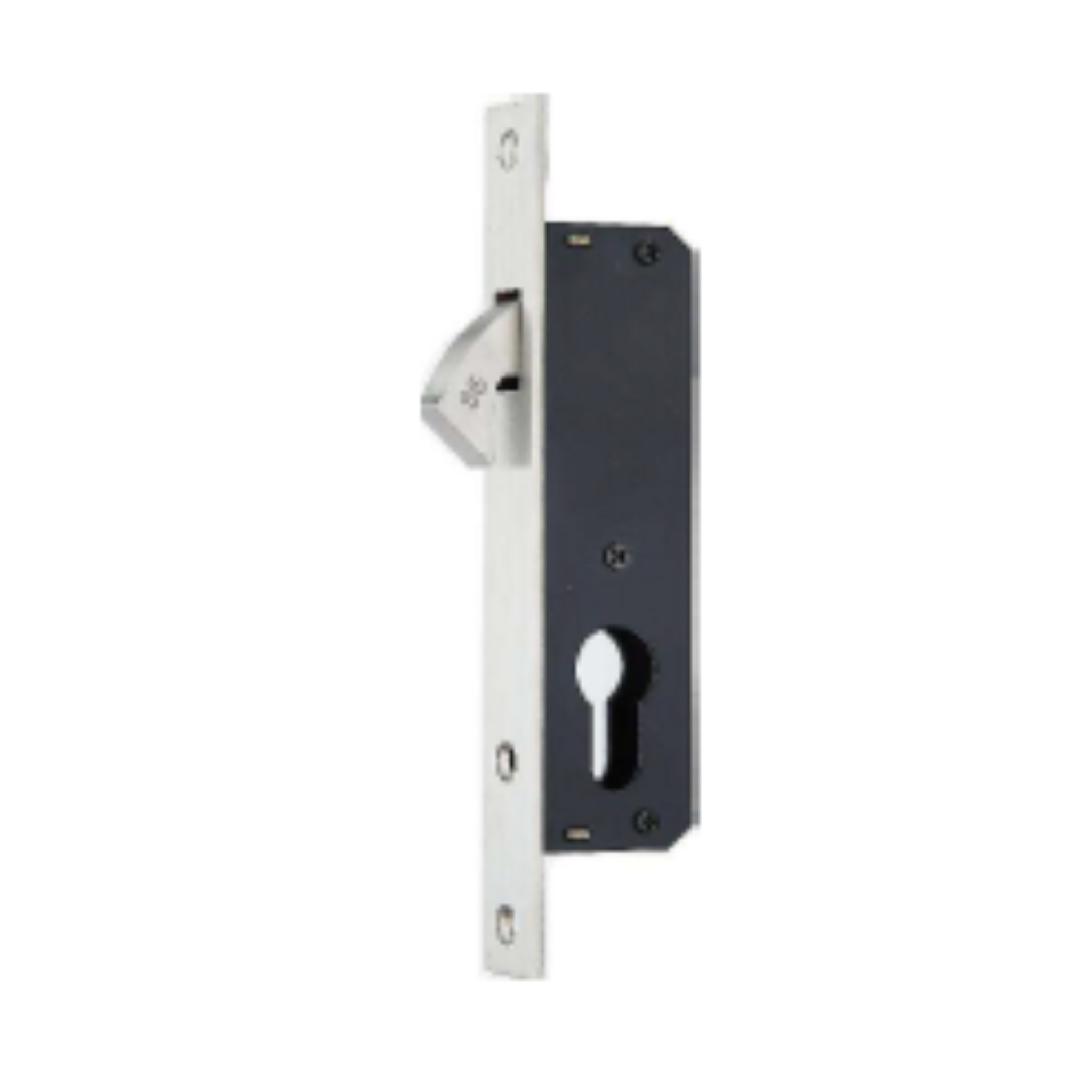 HL20-20-20, Hook Lock, Euro Cylinder, Excluding Cylinder, 20mm (Backset), Stainless Steel, CISA