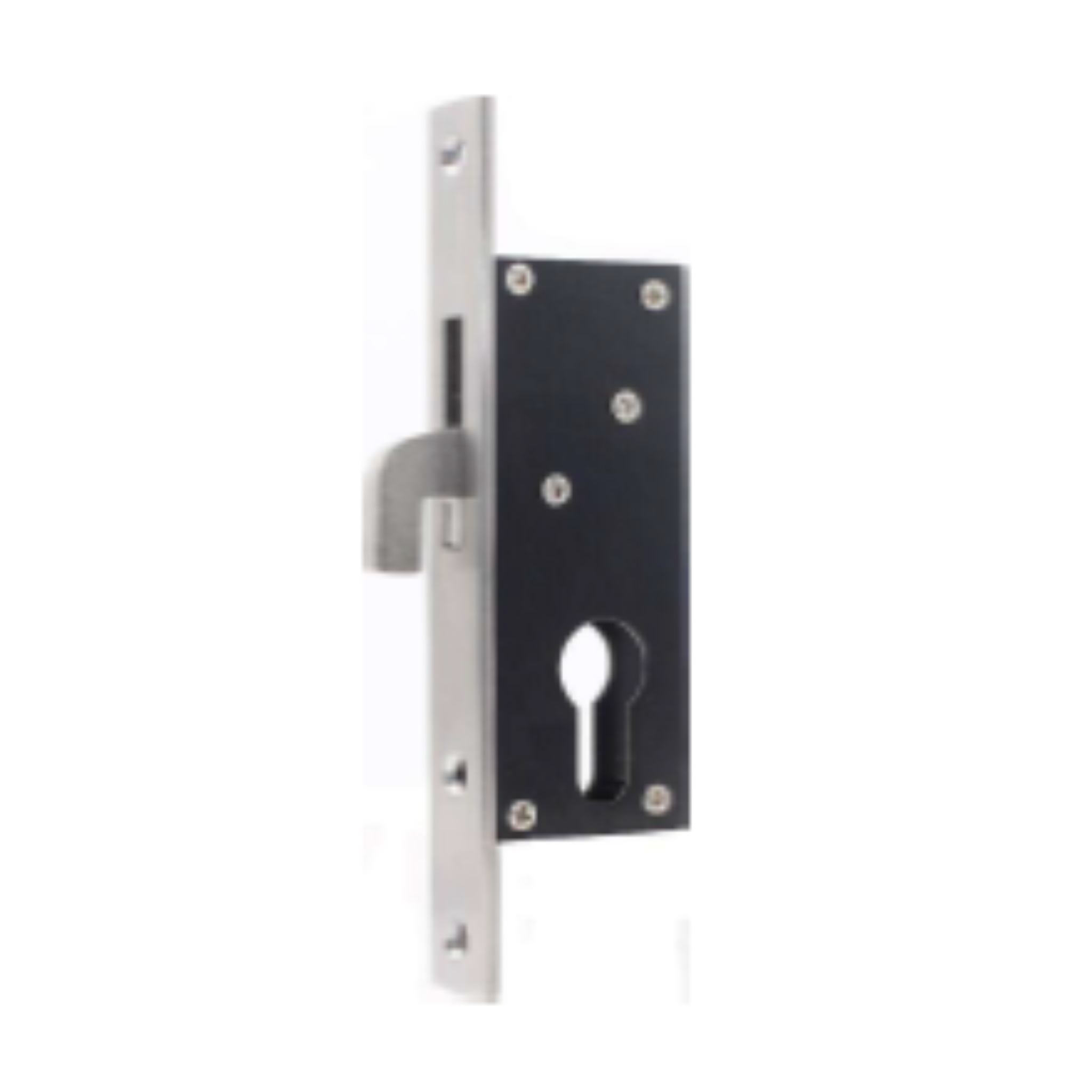 HL25-25-20, Hook Lock, Euro Cylinder, Excluding Cylinder, 25mm (Backset), Stainless Steel, CISA