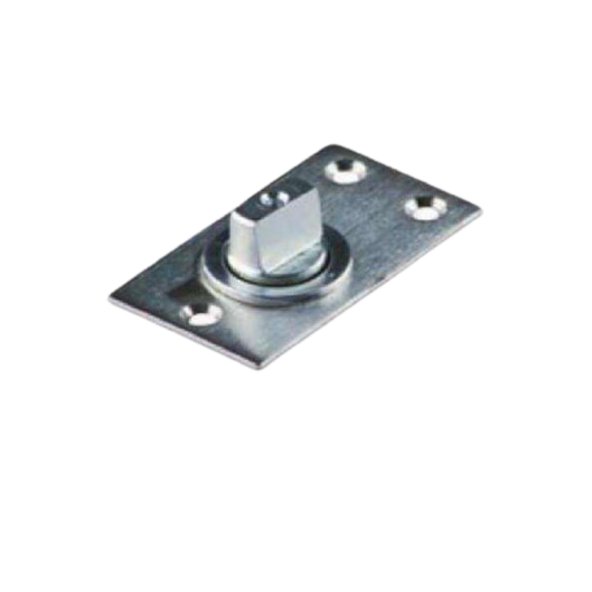 PIVOT For Doors up to 100kg, CISA