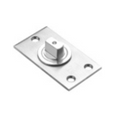 QS5501 Pivot For Doors up to 250kg, QS-2
