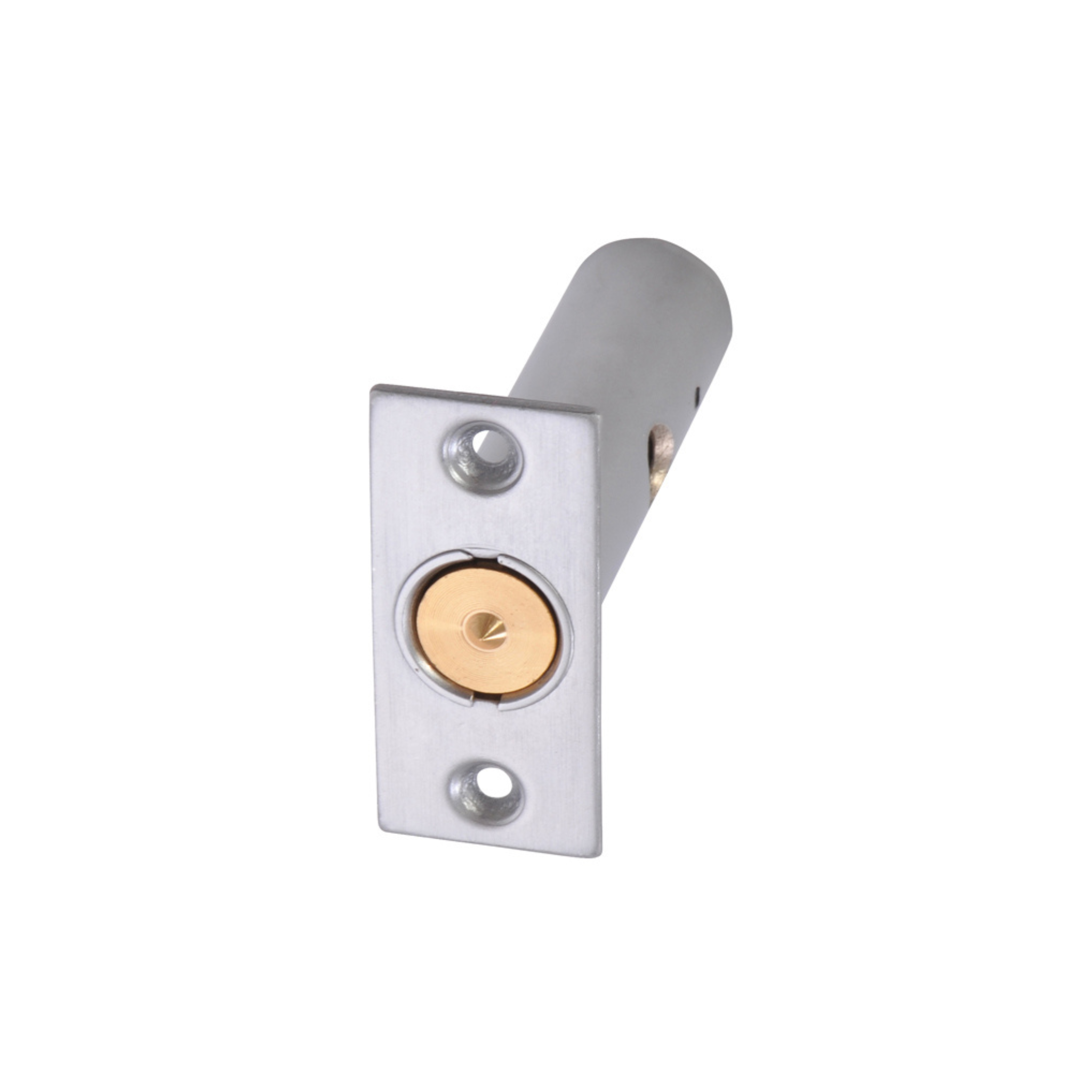 DMB-SS-021, Door Bolt with Key, 40mm (l) x 70mm (w) x 20mm (t), Stainless Steel, DORMAKABA