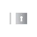 QS4472/FL, Keyhole Escutcheon, Flush Square Rose, 52mm (h) x 52mm (w) x 2mm (t), Stainless Steel, QS-2