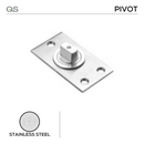 QS5501 Pivot For Doors up to 250kg, QS-1