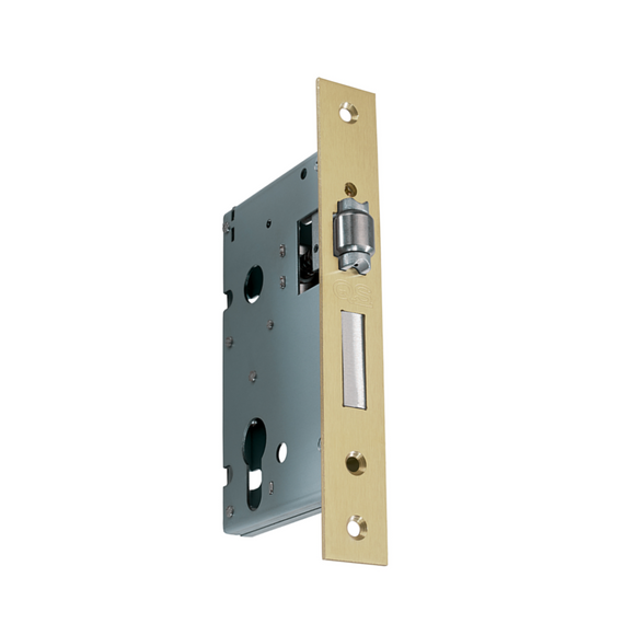 QS6055/3/PB, Adjustable Roller Bolt, Rollerbolt & Deadbolt Lock, Heavy Duty, Euro Cylinder, Excluding Cylinder, 55mm (Backset), 60mm (ctc), Brass, QS