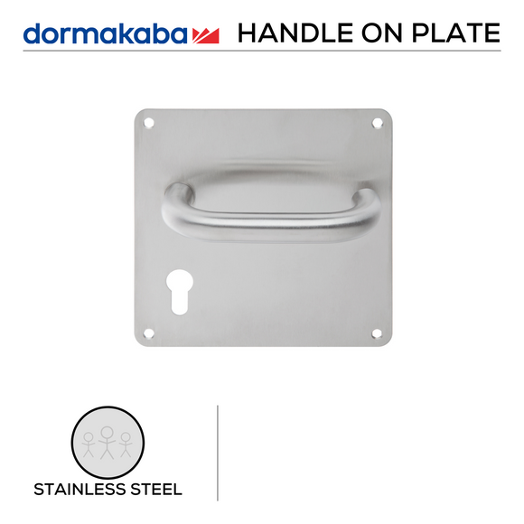 TH 120/BP Cylinder, Lever Handles, Tubular, On 170 x 170mm Back Plate, With Cylinder Escutcheons, 170mm (l), Stainless Steel, DORMAKABA